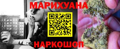 прущие грибы Гусев