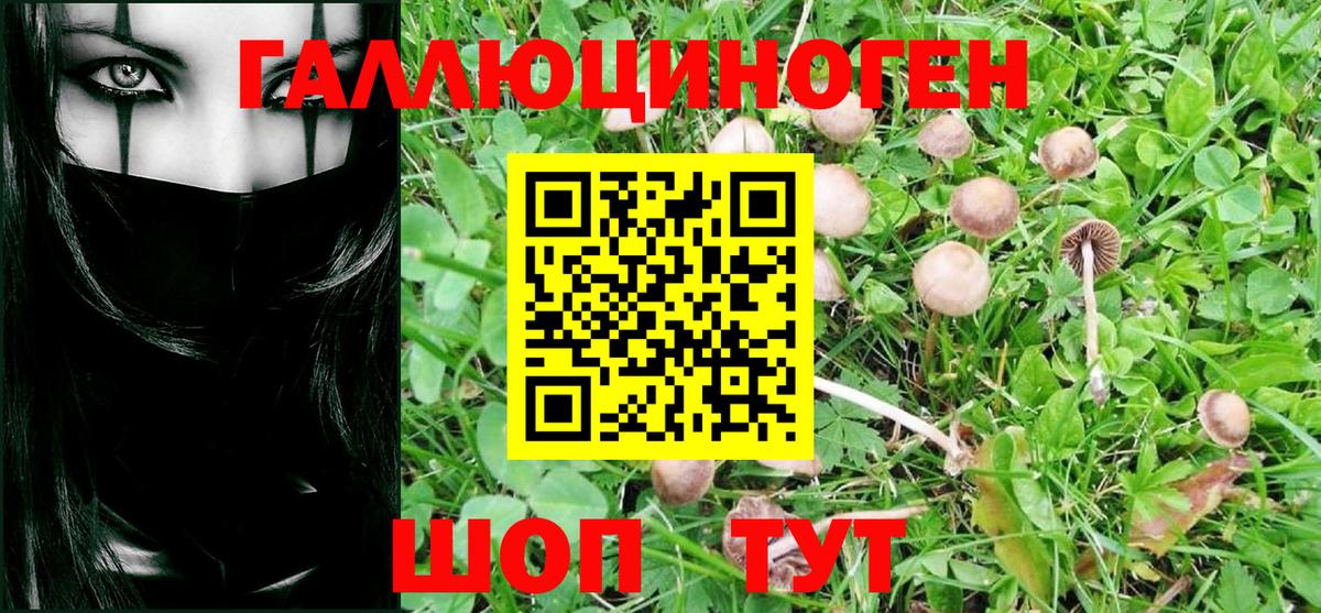 Майкоп  Галлюциногенные грибы Magic Shrooms  Вход с VPN  Псилоцибиновые грибы прущие грибы 