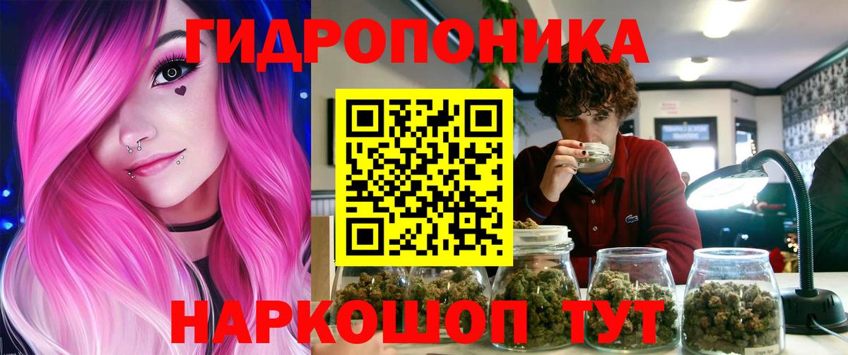 Бошки Шишки тримм Майкоп